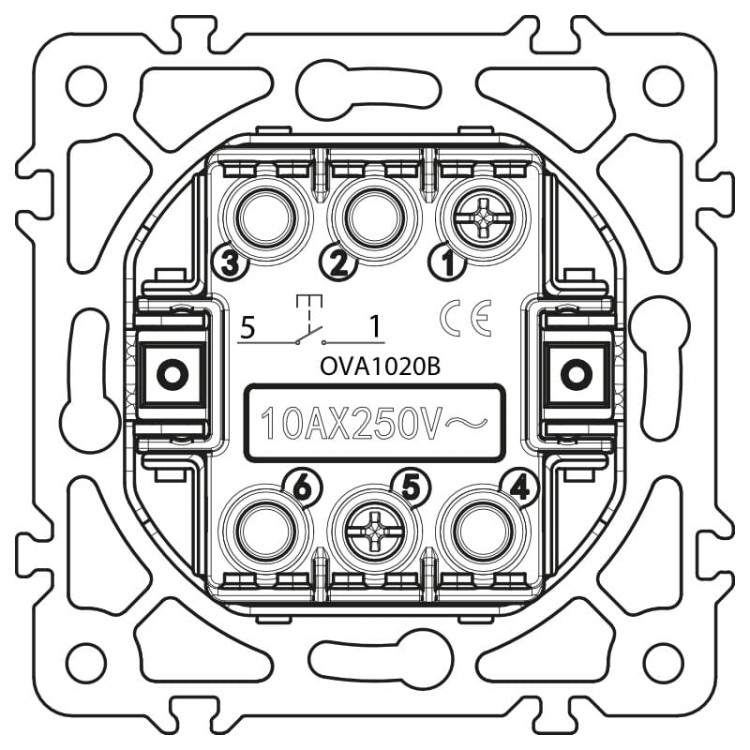 00_OVA1020B_b.jpg