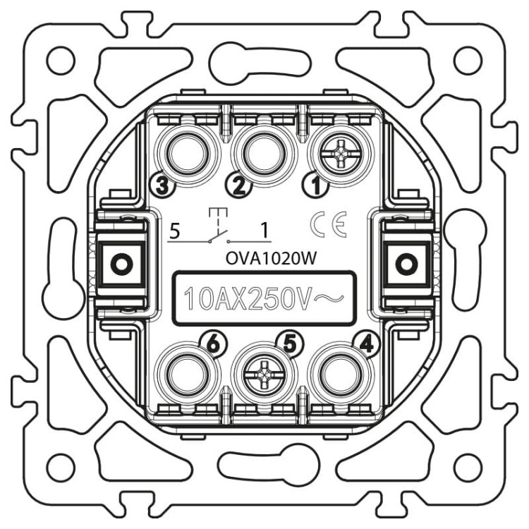 00_OVA1020W_b.jpg