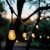 23e197adc4c6a58328dd2f20584bfa49.jpg