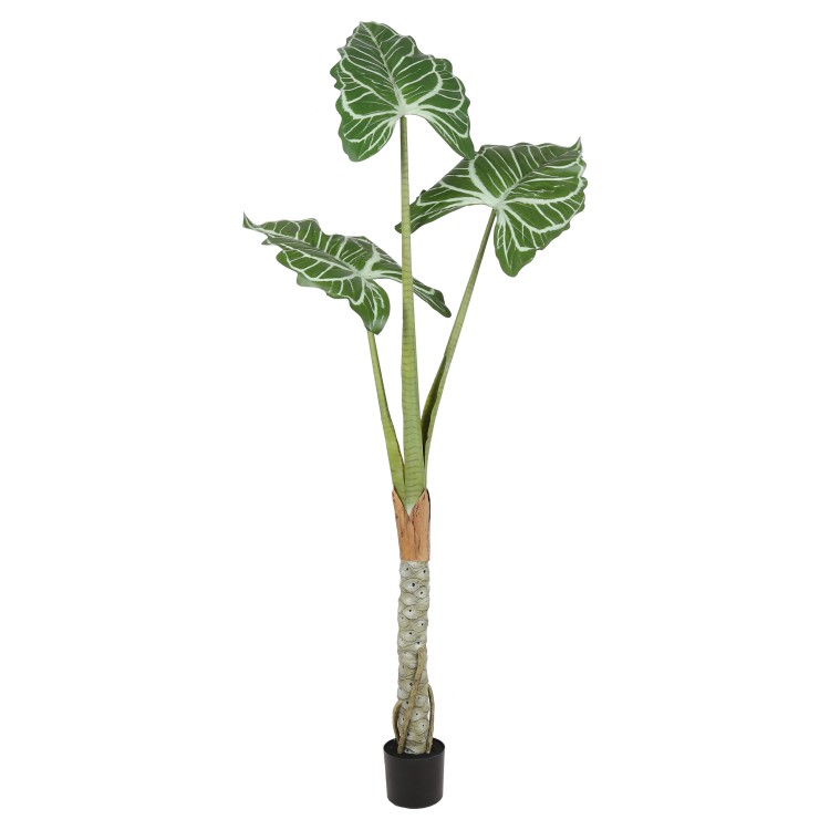 d4a623aa-022d-4a16-ba83-8f3402c48f89.jpg