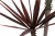 a7ec3483-3231-4042-94e5-538b438c2f1a.jpg