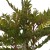 610f961b-9547-4f96-b7f6-5dde615812e7.jpg